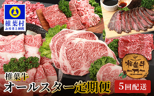 
【定期便5回】総重量3.5kg！椎葉牛オールスター定期便≪ローストビーフ・切り落とし・焼き肉・スライス・ステーキ≫【A5等級指定 黒毛和牛】A5ランク a5 A5【日本三大秘境 椎葉村 育ちの黒毛和牛】
