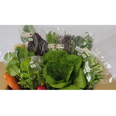 ふるさと納税 北斗市 【JAS認定有機野菜】北斗市産　有機野菜10〜12種類野菜セット 紙箱入(季節で種類が変わります) |  | 01