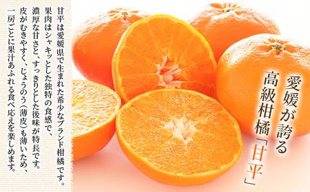 【先行予約】＜甘平 家庭用 約3kg＞ ご家庭用 かんぺい 高級 柑橘 ブランド みかん 蜜柑 訳あり 果物 くだもの フルーツ ミカン 愛媛 国産 ジューシー 明浜 特産品 笑丸 愛媛県 西予市【常