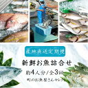 【ふるさと納税】 【3回定期便】魚屋さんの選んだ新鮮お魚詰め合わせ(約4人分) 鹿児島 国産 九州産 産直 産地直送 鮮魚 新鮮 魚 海産物 お刺身 煮つけ 焼き魚【マルケイ水産】