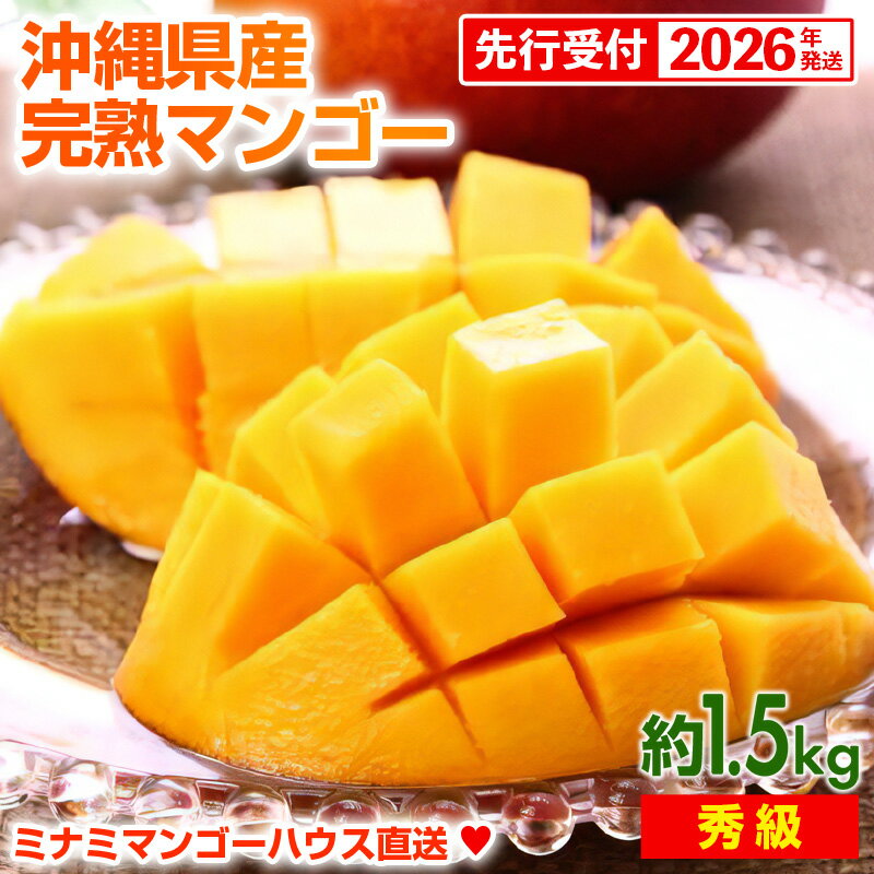 【ふるさと納税】【先行受付】【2026年発送】ミナミマンゴーハウスの完熟アップルマンゴー【秀】約1.5kg（3~5玉））- 先行予約 沖縄県産 産地直送 南国フルーツ 旬の味覚 旬のフルーツ 贈り物 ギフト 沖縄県 八重瀬町