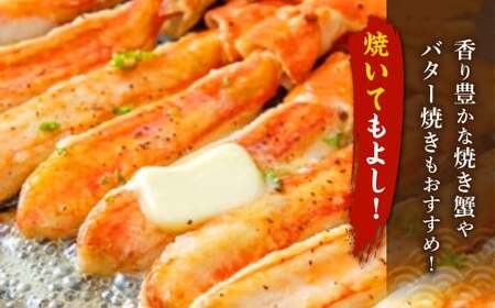 生ずわい蟹 カニ棒肉 500g（20～25本）フルポーション「かにしゃぶ・かに鍋・海鮮BBQにオススメ」 かに カニ ずわい蟹 足 ポーション むき身 しゃぶしゃぶ 鍋 海鮮 BBQ バーベキュー 簡