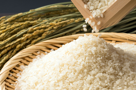 新米 日光産【ゆうだい21】【滋養米こしひかり】食べくらべ(各2kg 計4kg)｜令和7年度米 特別栽培米 減農薬 無化学肥料栽培 コシヒカリ 日光ブランド 精米 お米 ごはん 国産 産地直送 [07