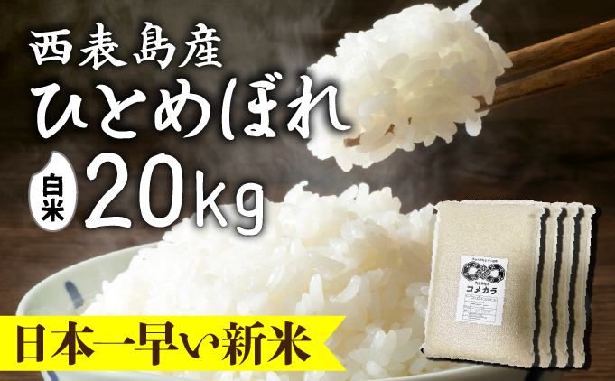 新米ひとめぼれ(白米)20kg