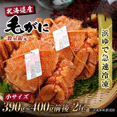 ふるさと納税 白老町 北海道産ボイル毛ガニ 390g〜400g前後×2尾 冷凍