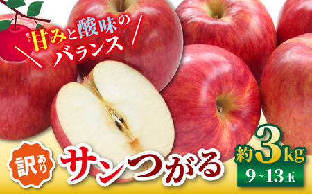 【2026年先行予約】訳あり サンつがる 約3kg ｜ 浅野農園