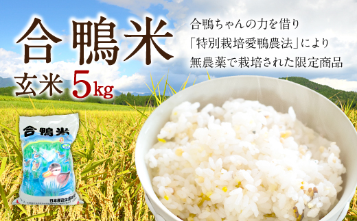 〈令和7年産〉合鴨米 玄米 5kg【2025年10月上旬～2026年10月上旬発送予定】