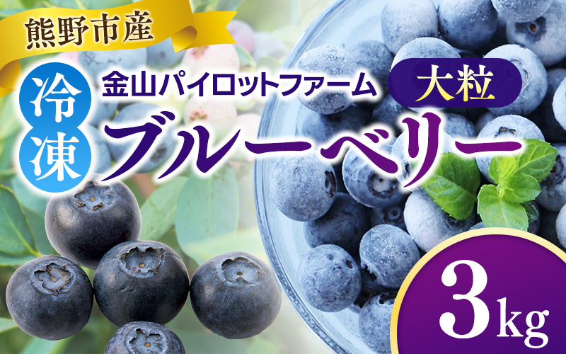 冷凍 ブルーベリー 3kg 急速冷凍 フルーツ 果物 くだもの スムージー ジャム 朝食 デザート 特産品 人気 国産 旬 金山パイロットファーム 三重県 熊野市【knpr0011A】