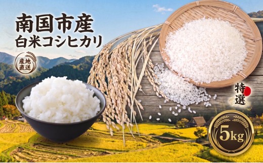 白米 コシヒカリ 5キロ 5kg 数量限定 7月末まで 米 コメ お米 ご飯 おにぎり こめ 令和7年度 農家直送 産地直送 ふるさと納税  高知県 南国市