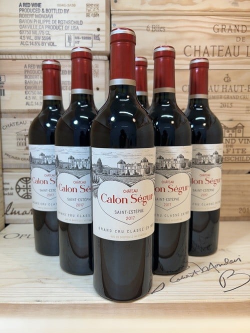 
            No.94 新冠 トンネル 熟成 ワイン フランス ボルドー サン・テステフ 産 赤 ワイン 2017 6本 1組 セット
          