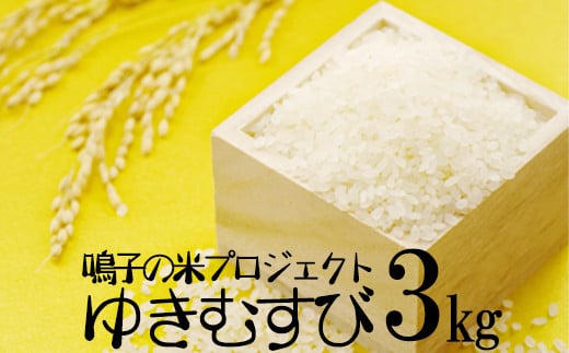 
            (03749)鳴子の米プロジェクト ゆきむすび3kg【2024年産】
          