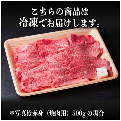 飛騨牛 厳選赤身(焼肉・BBQ用) 1.5kg(500g×3)　黒毛和牛　小分け　A4〜A5等級【配送不可地域：離島】【1543759】