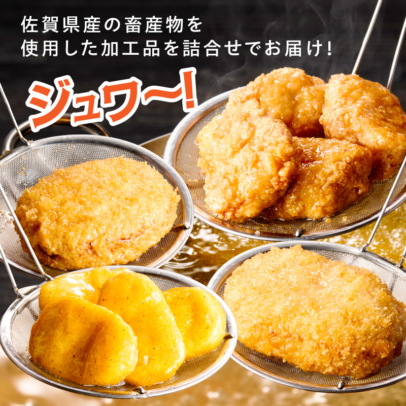 佐賀県産バラエティーセット2200g 125-J809