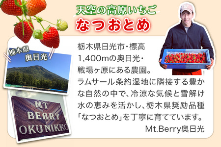 [期間限定／数量限定] 夏のいちご「なつおとめ」天空の高原いちご プレミアムギフト 計600g 贈答用 化粧箱入り 約4人分 いちご フルーツ 果物 [0367]
