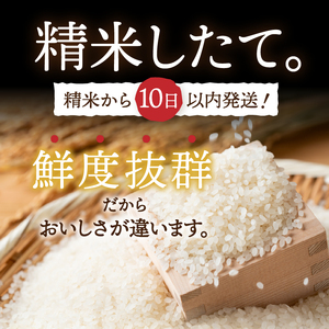 3人に1人がリピーター! 岩手ふるさと米 計10kg(5㎏×2) 令和6年産 一等米 ひとめぼれ 東北有数のお米の産地 岩手県奥州市産 白米 精米 【配送時期に関する変更不可】 [U0160]