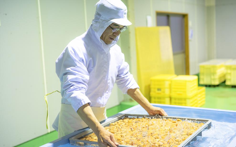 百福梅 有田みかん蜂蜜梅干　500ｇ  E027_イメージ4
