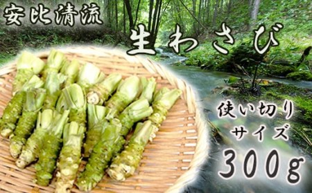 岩手県産 生わさび 使い切りサイズ 300g 【安比清流山葵園】 ／ 山葵 ワサビ わさび 薬味 国産 八幡平市産 産地直送 新鮮 調味料 刺身 蕎麦 和え物 漬け物 刻み おろし 辛味 お寿司 そば 肉の薬味 魚の薬味 そばの薬味 おすすめ オススメ