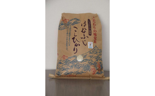 令和7年産 米 コシヒカリ 「はなふじ」 大津市産 精米 10kg ( 10kg × 1袋 )　[AZ007]