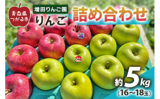 りんご 詰め合わせ 約5kg(16～18玉) 青森産 つがる市【2024年11月下旬より順次発送】｜青森県産 津軽 つがる リンゴ 果物 サンふじ 王林 [0609]