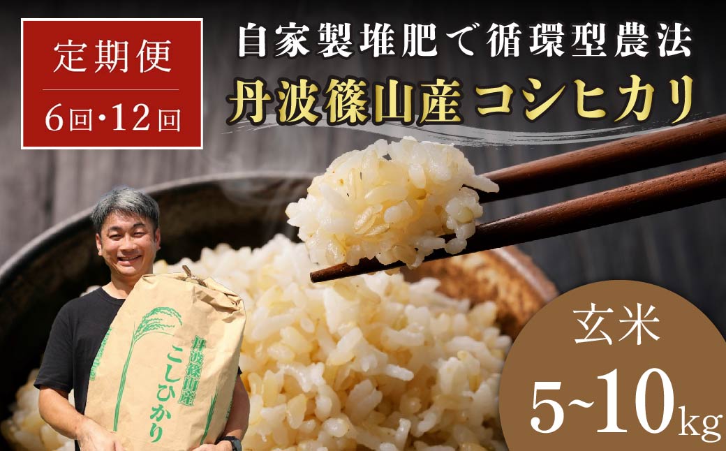 令和7年産 丹波篠山産コシヒカリ 玄米 5kg×12回 計60kg 丹波篠山市 ふるさと納税 株式会社　丹波篠山大内農場西の魚沼と呼ばれる 丹波篠山産 コシヒカリ！
