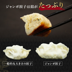 ジャンボ 餃子 60個 餃子