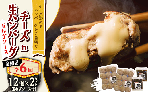 【毎月定期便】チーズ in ハンバーグ(生)12個(玉ねぎソース150g) 2セット全6回【配送不可地域：離島】【4080198】