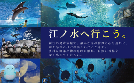 【新江ノ島水族館】前売入場券（大人1枚、幼児1枚）水族館チケット水族館観光観光チケット
