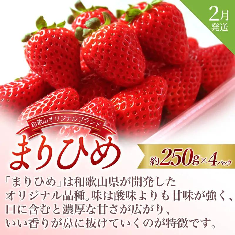 フルーツ定期便 全3回 いちご・桃・ピオーネ フルーツ【tkb401】
