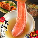 【ふるさと納税】大トロ かにしゃぶ セット 1kg 特大サイズ 6L〜8L 加熱用 ずわい蟹 生ズワイ蟹 カット済 むき身 蟹 低カロリー 高タンパク しゃぶしゃぶ かに鍋 鍋 鍋料理 海産物 海の幸 魚貝類 食品 泉佐野市 冷凍 送料無料