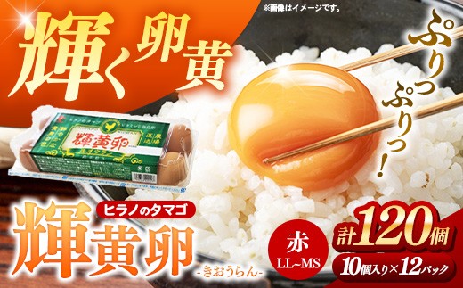 ヒラノのタマゴ 輝黄卵（きおうらん）120個（10個入り×12パック）【割れ保証込み 卵 たまご タマゴ  国産 新鮮 直送  輝黄卵 きおうらん 朝ごはん 卵かけごはん 福岡県 筑前町 AJ013】