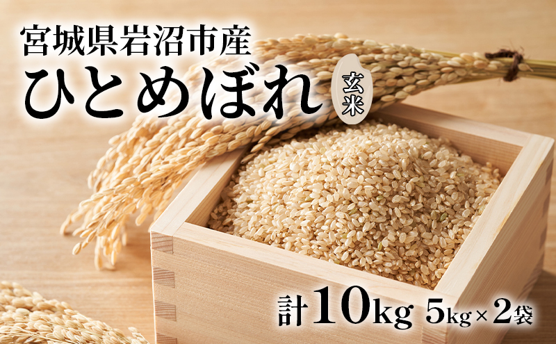 
            玄米 ひとめぼれ 10kg (5kg×2) 米 ブランド米 単一原料米 5キロ 10キロ おこめ ご飯 ライス 宮城県産ひとめぼれ 東北 宮城県産 宮城米 宮城 宮城県 岩沼市
          