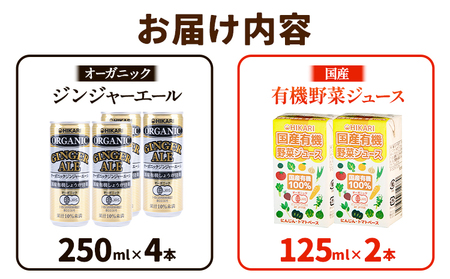 お試し ジンジャーエール 250ml × 4缶 野菜ジュース 125ml × 2本 《3-7営業日以内に出荷予定(土日祝除く)》 徳島県 上板町 送料無料 ジュース 炭酸 飲料 ジンジャー 生姜 有機