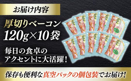 ＼レビューキャンペーン中／秒でプラスもう一品！大洲市産ブランドポーク『オズの箱入り娘』を使用した厚切りベーコンスライス×10ケ 合計1200g 豚肉 小分け 切り落としベーコン プレゼント 愛媛県大洲