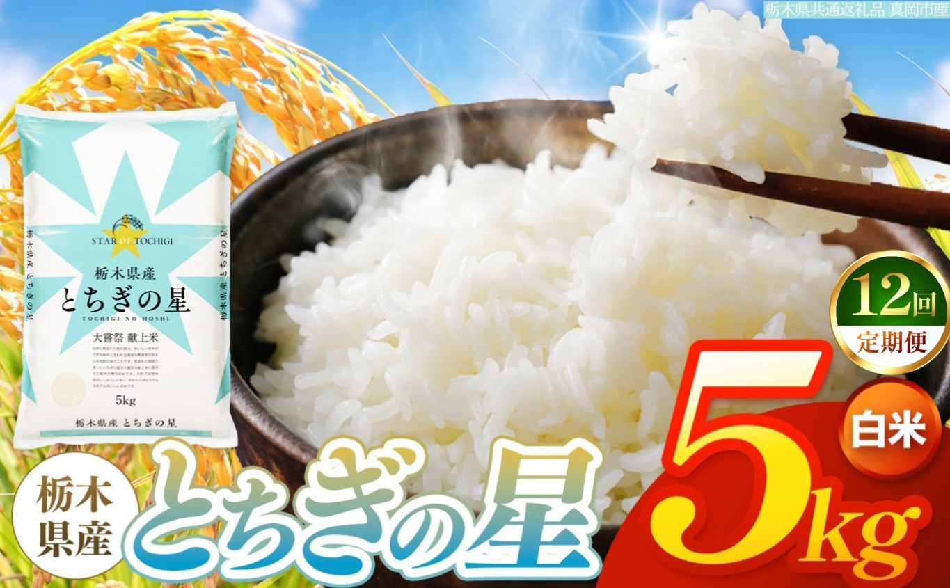 【令和8年産 新米】 【定期便12回】栃木県産 お米 とちぎの星　（白米） 5kg 【2026年秋以降発送】 |  栃木県 矢板市 【栃木県共通返礼品 真岡市産】 【定期便12回】白米 5kg | 1