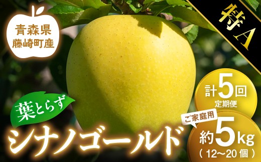 【先行予約】≪定期便≫シナノゴールド　特Aご家庭用　約5kg(12～20個) 合計5回【グランドアップル】 青森りんご 林檎 リンゴ 葉取らずりんご 発祥の地 果物 フルーツ 青森県産 藤崎町 おすすめ F41-0178