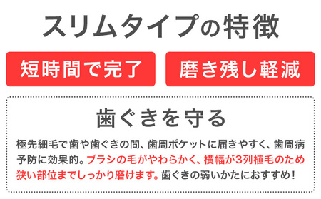 イオン歯ブラシ 極細替えブラシ スリム 24本入り