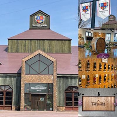 ふるさと納税 高畠町 【高畠ワイン 】高畠醸造 赤 ハーフサイズ 360ml×12本セット |  | 01