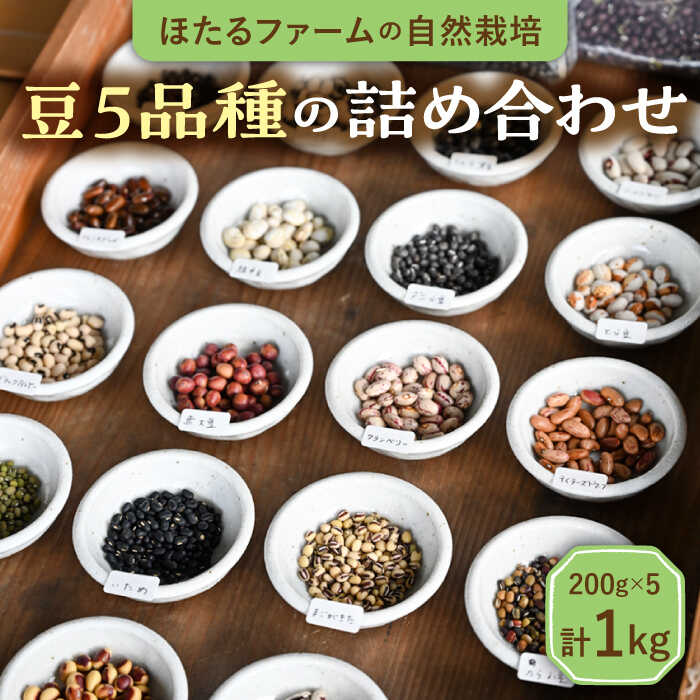 ※数量限定※【先行予約】自然栽培の豆 5品種 約1kg 【ほたるファーム】