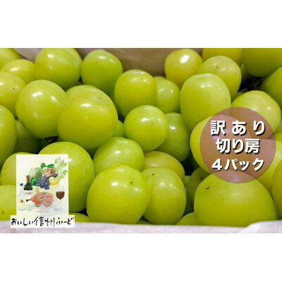 【ふるさと納税】『2026年発送 先行予約』訳あり 信州産【新鮮朝採り】シャインマスカット 4パック 1.5kg以上【配送不可地域：離島】【1625534】