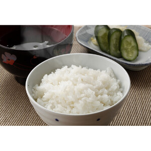 1091.【定期便全3回】【令和7年産新米】【食味鑑定士厳選】 鳥取県産 コシヒカリ5kg (5kg×1袋) 合計 15kg