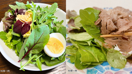 【 簡易包装 】 黒澤農園 の ベビーリーフサラダ 330g×1袋 訳アリ 訳あり 規格外 生育 わけあり フードロス 削減 ベビーリーフ サラダ 生野菜 食べやすい 若葉 ファミリー 旬 新鮮 国産