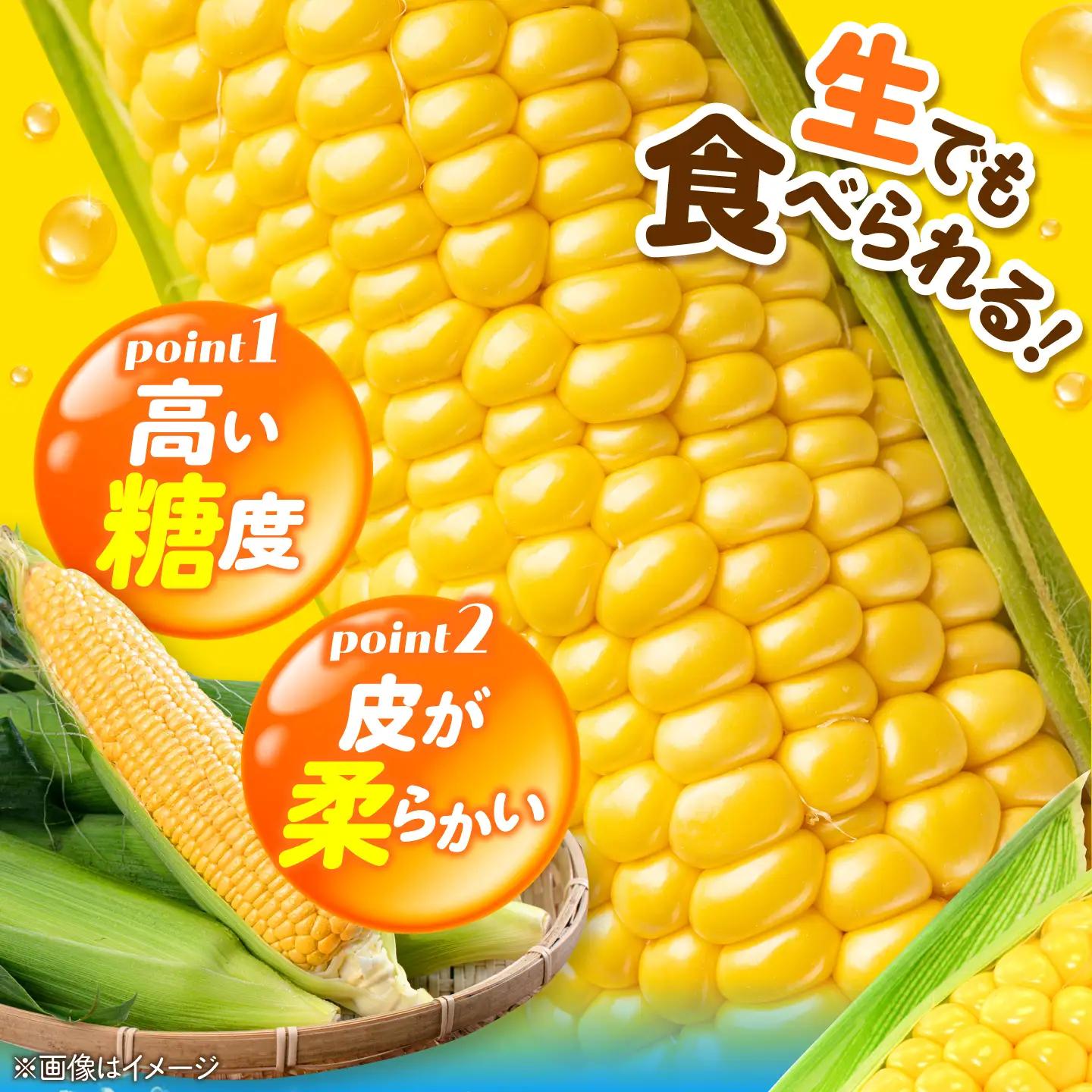 とうもろこし 味来 26本 [AJAK007] とうもろこし