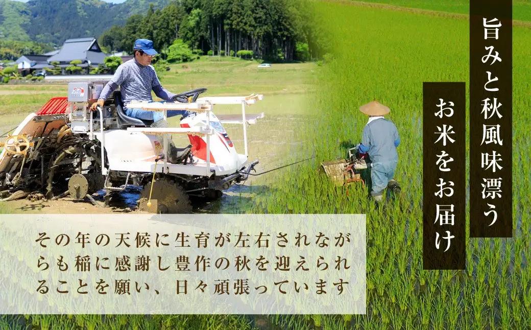 令和8年産 新米 姫髪の里 京都産 こしひかり 白米 計10kg 有限会社森成農産
