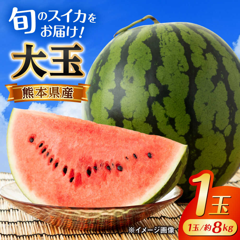【ふるさと納税】【2026年発送分先行予約】【数量限定】大玉 西瓜 1玉入り 約8kg 熊本 スイカ 西瓜 大玉 フルーツ 果物 甘い シャリシャリ スイカ おおだますいか 熊本県産 合志市 送料無料 【株式会社 GGYパッケージ】[AYAU001]