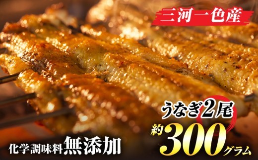 
                  手焼き三河一色産1年うなぎ蒲焼2尾(約300g)・A140-17
                