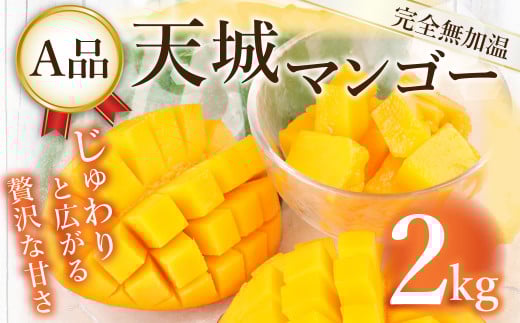 【2025年発送】【先行受付】徳之島 天城町産 完全無加温 完熟 マンゴー Ａ品 2kg 贈答
