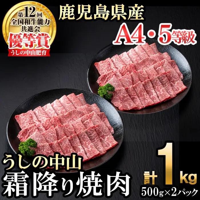 ＜A4・A5等級＞鹿児島県産黒毛和牛 うしの中山 霜降り焼肉用 計1kg(500g×2P) 黒毛和牛 和牛 肉 牛肉 国産 九州産 鹿児島県産 焼肉 霜降り 日本一 c9-005