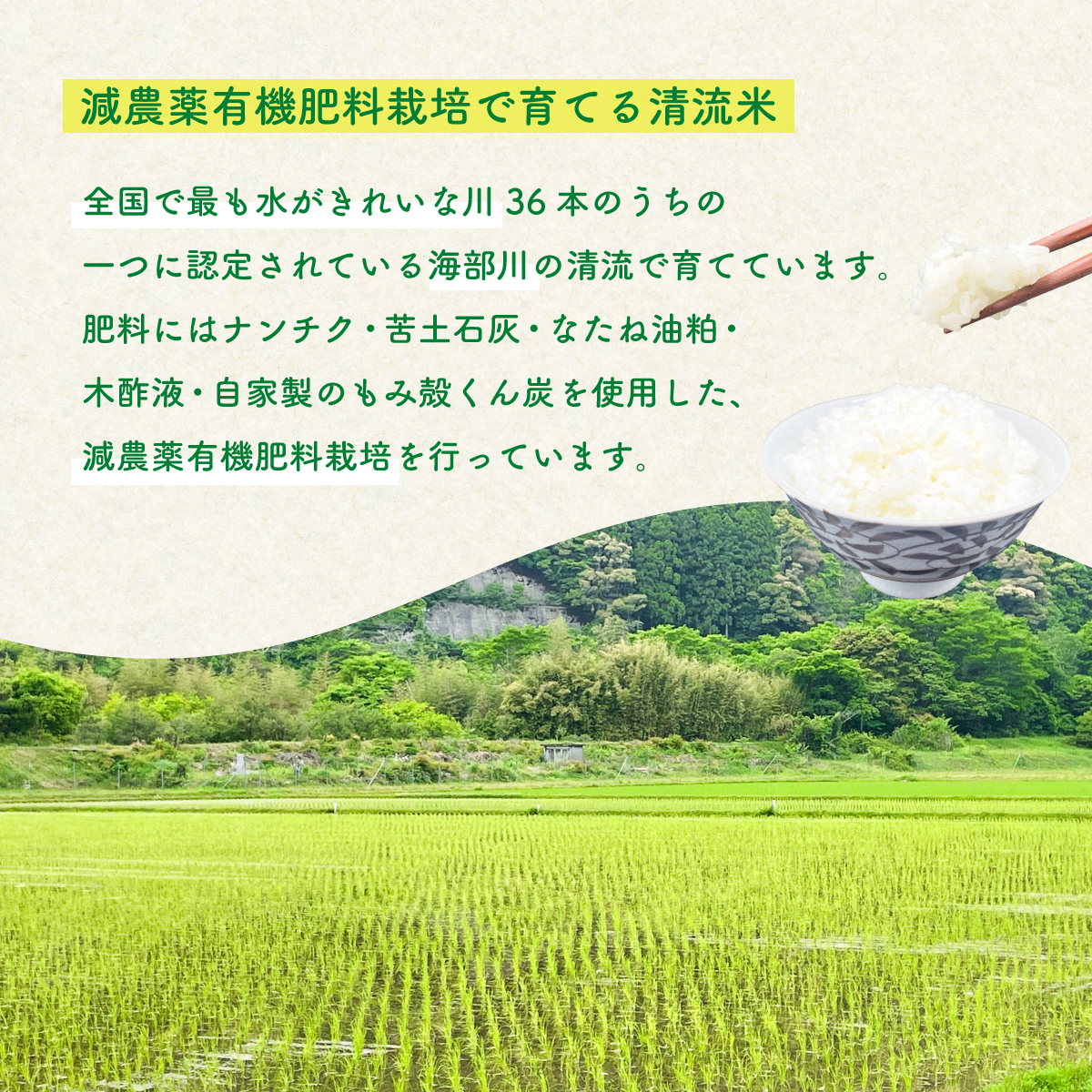 認定エコファーマー栽培！　海部清流米コシヒカリ５kg