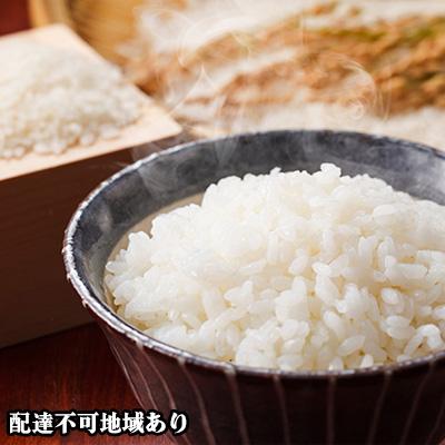 ふるさと納税 瀬戸内市 きぬむすめ 精白米 6kg 白米 お米 岡山 [No.5735-0899]