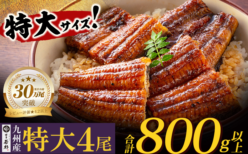 国産うなぎ蒲焼特大サイズ4尾（計800g以上）鰻蒲焼用タレ・山椒付 うなぎ生産量日本一鹿児島県産・宮崎県産・熊本県産